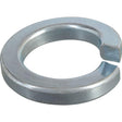 Hillman No. 8 in. D Zinc-Plated Steel Split Lock Washer 30 pk