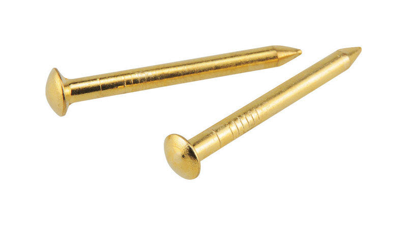 Hillman OOK Brass-Plated Hardwall Picture Hanging Nails 10 lb 10 pk