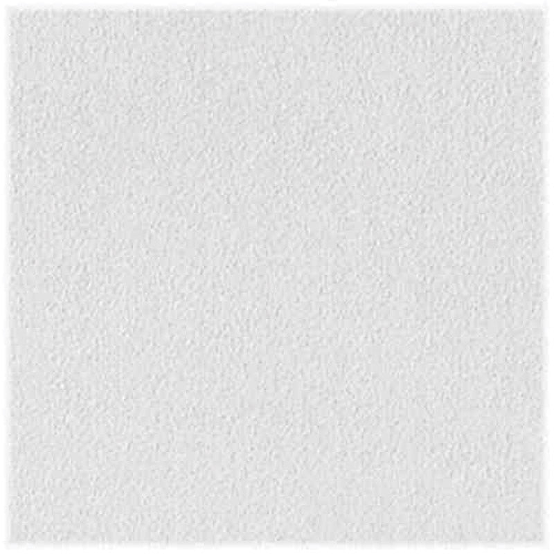 USG Sheetrock Brand Non-Directional 24 in. L X 24 in. W 0.5 in. Square Edge Ceiling Panel 1 pk