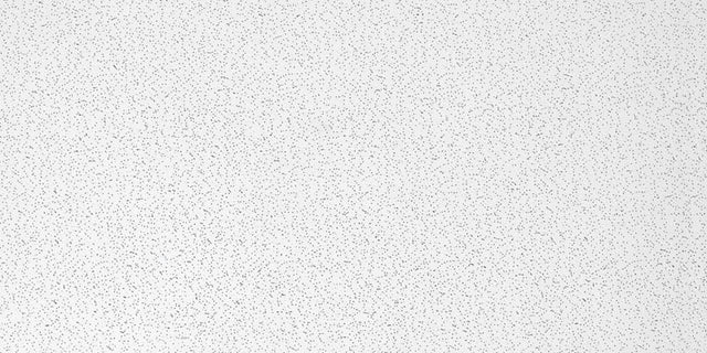USG Ceilings Radar Non-Directional 48 in. L X 24 in. W 0.63 in. Square Edge Ceiling Panel 1 pk