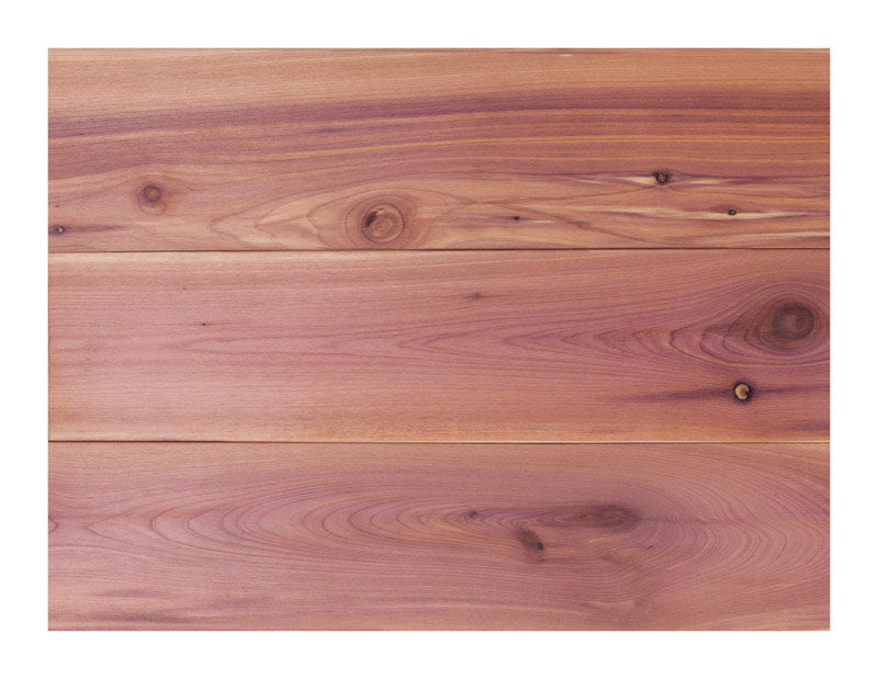 Global Product 3.75 in. W X 48 in. L Unfinished Aromatic Cedar Wall Planking