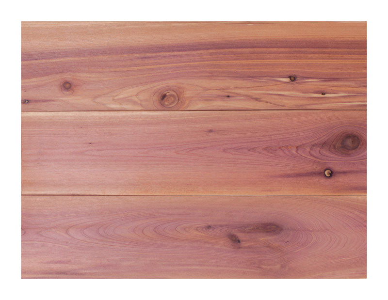 Global Product 3.75 in. W X 48 in. L Unfinished Aromatic Cedar Wall Planking