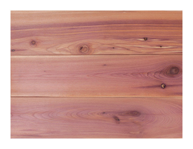 Global Product 3.75 in. W X 48 in. L Unfinished Aromatic Cedar Wall Planking