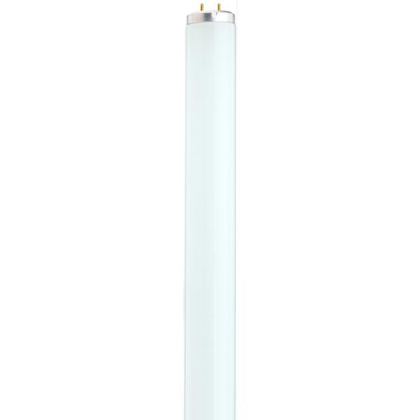 20 Watt - T12 - Fluorescent - Medium Bi Pin base