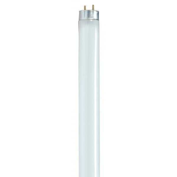 32 Watt - T8 - Fluorescent - 5000K Natural Light - 85 CRI - Medium Bi Pin base