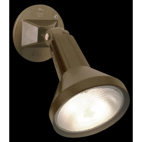 1 Light - 8" - Flood Light - Exterior - PAR38 with Adjustable Swivel - Bronze Finish