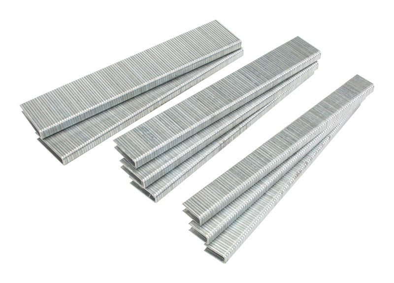 Craftsman 1/4 in. W X Assorted in. L 18 Ga. Narrow Crown Staple Assortment 900 pk