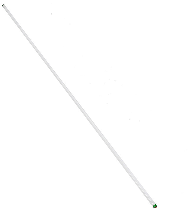 Philips Alto 59 W T8 1 in. D X 96 in. L Fluorescent Bulb Cool White Linear 4100 K 1 pk