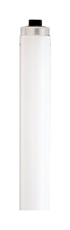 Satco 110 W T12 1.5 in. D X 93.91 in. L Fluorescent Bulb Daylight Linear 6500 K 1 pk