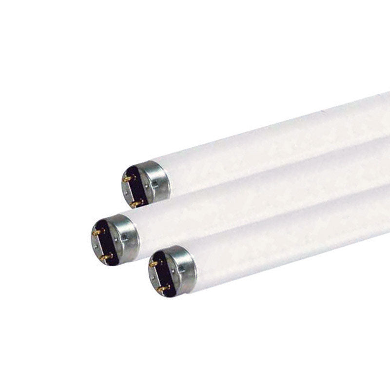 Satco 15 W T8 1 in. D X 17.78 in. L Fluorescent Bulb Daylight Linear 6500 K 1 pk