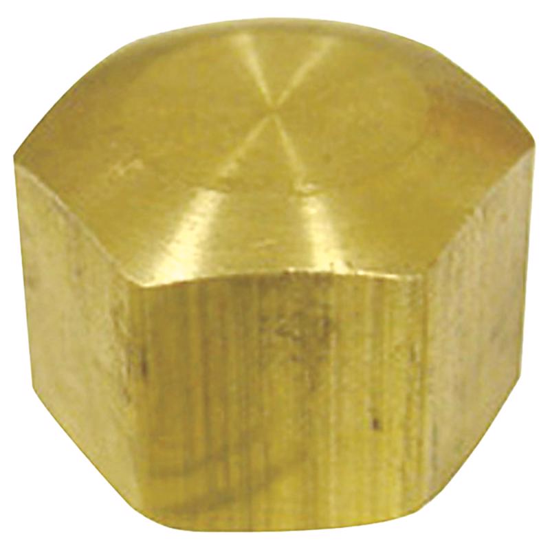 3/8 in. Compression Brass Cap