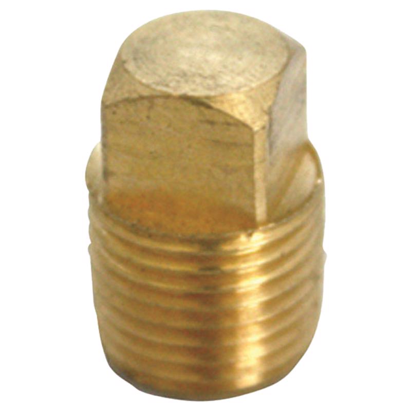 1/4 in. MPT Brass Square Head Cored Plug