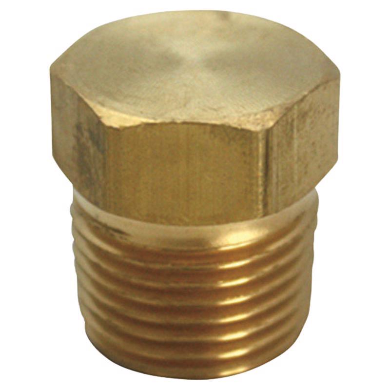 1/4 in. MPT Brass Hex Head Plug
