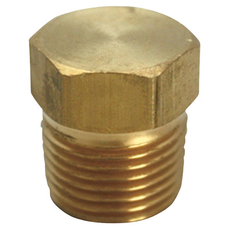 1/2 in. MPT Brass Hex Head Plug