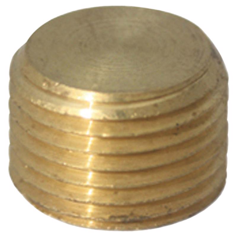 1/4 in. MPT Brass Counter Sunk Plug