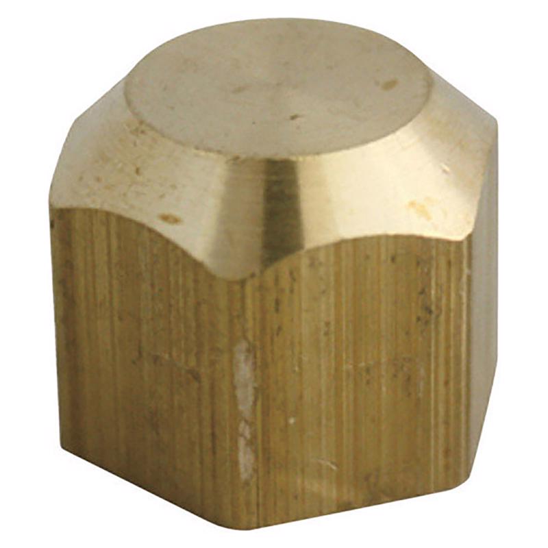 1/4 in. Flare Brass Cap