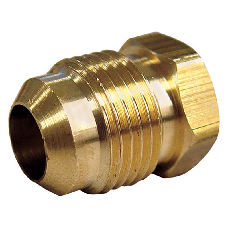 1/4 in. Flare Brass Hex Plug