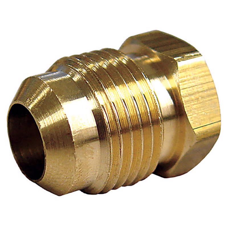 1/2 in. Flare Brass Hex Plug