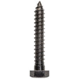 National Hardware 3/4 in. D X 3 in. L Black Powder-Coated Steel Lag Bolt 4 pk