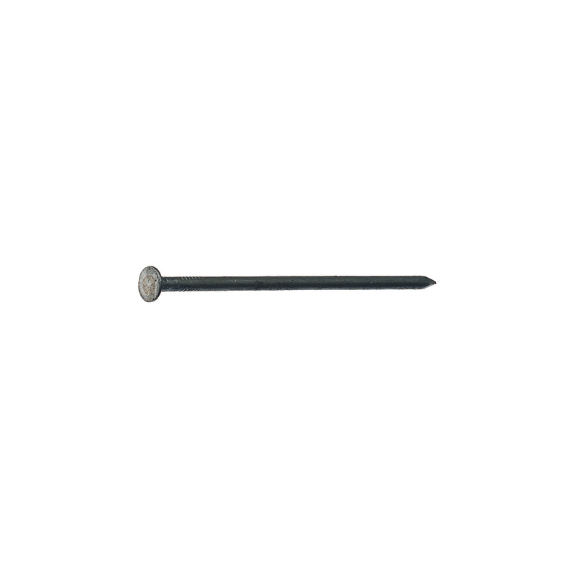Grip-Rite 8D 2-1/2 in. Box Bright Steel Nail Round Head 1 lb