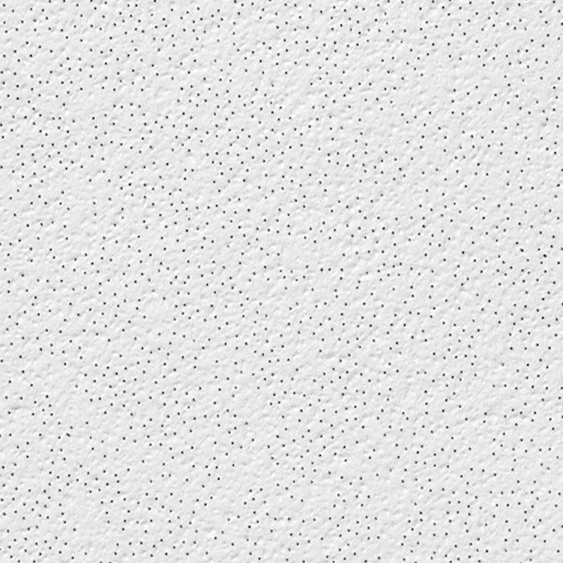 USG Ceilings Alpine 0.61 in. L X 24 in. W 0.625 in. Shadow Line Tapered Ceiling Tile 1 pk