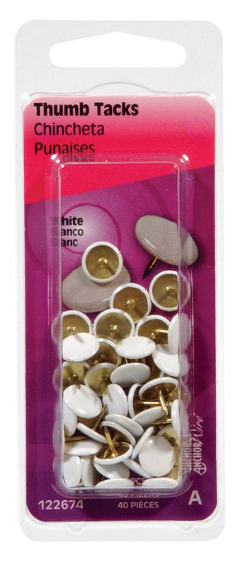 Hillman 0.375 in. L White Steel Thumb Tacks 40 pk