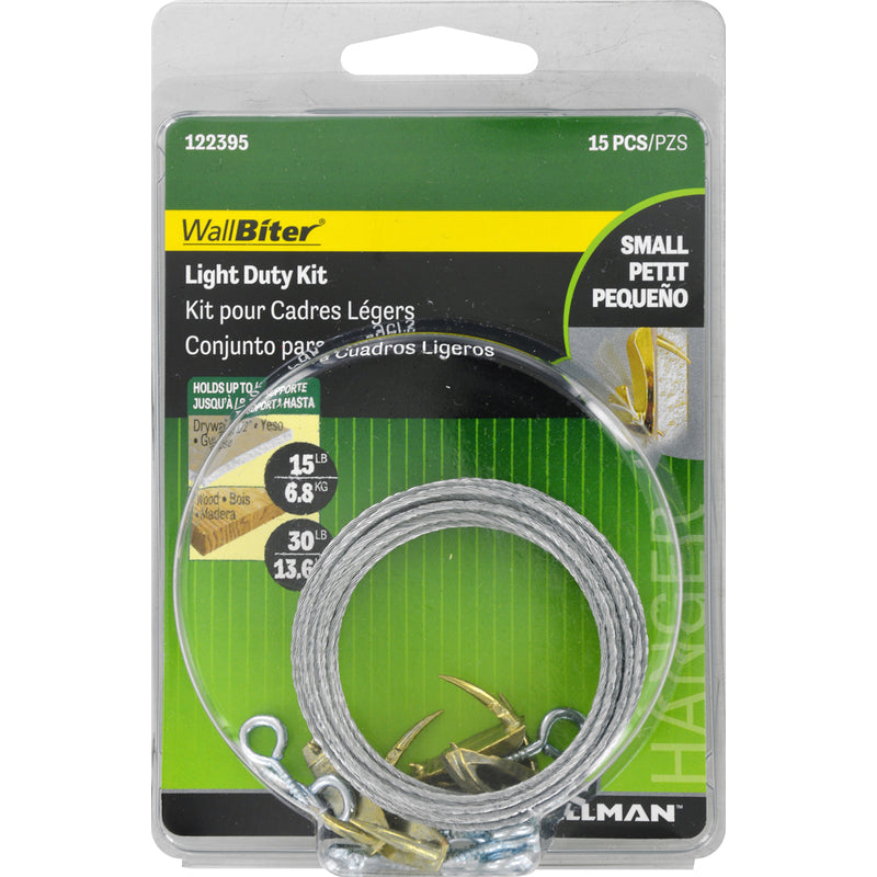 Hillman WallBiter Brass-Plated Silver Light Duty Picture Hook Kit 30 lb 5 pk