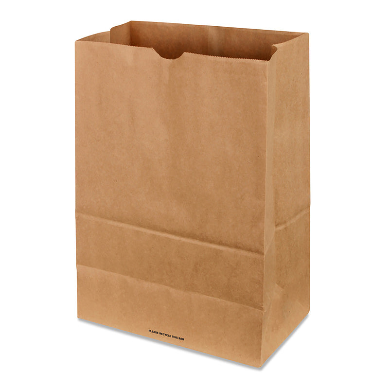 North American Company Paper Brown Shopping Bag Recycled 500 pk 17 in. H X 7 in. W X 12 in. L