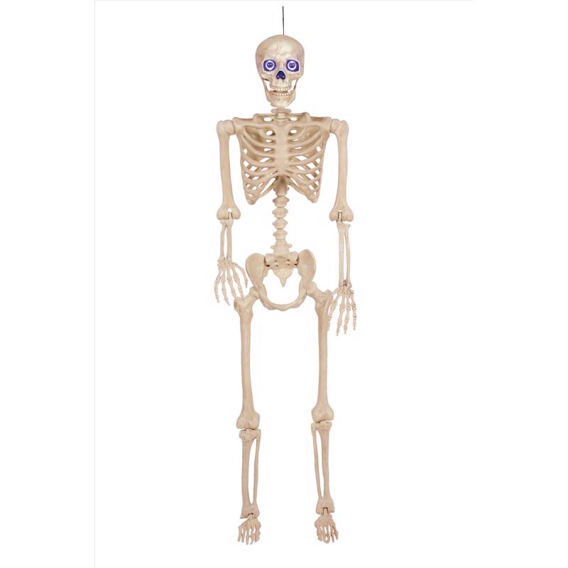 Seasons Multicolored 60 in. LED Skeleton Halloween Decor