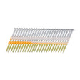 Metabo HPT 2-3/8 in. L Plastic Strip Hot-Dip Galvanized Framing Nails 21 deg 1000 pk