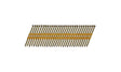 Metabo HPT 3-1/4 in. L Plastic Strip Hot-Dip Galvanized Framing Nails 21 deg 4000 pk