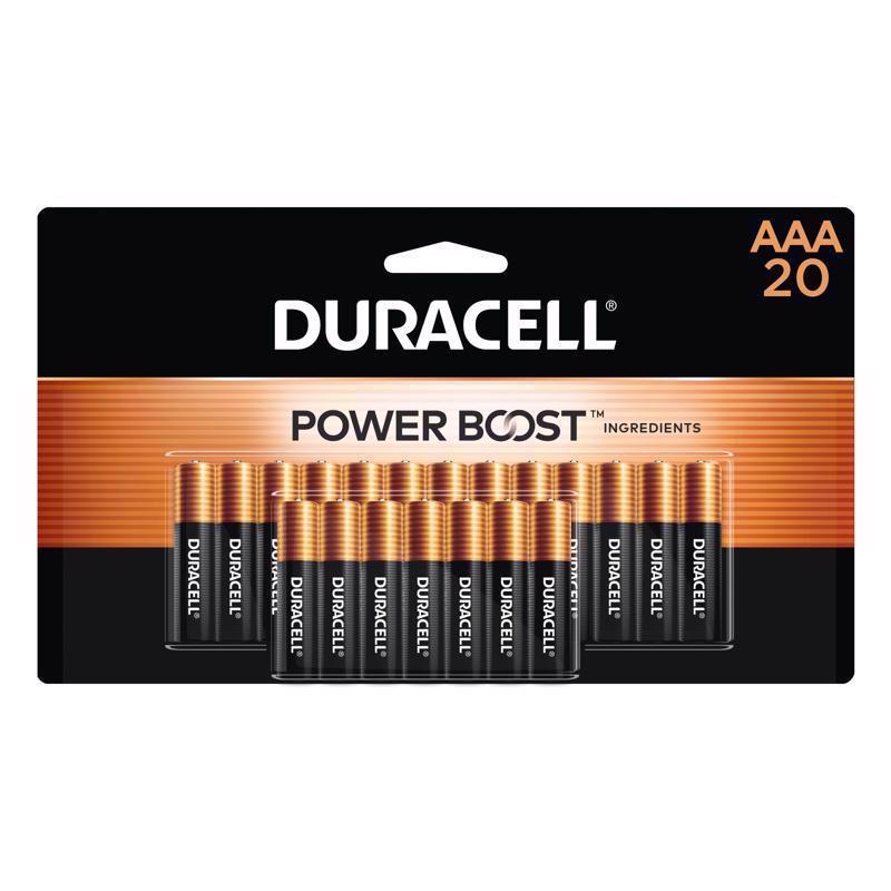 Duracell Coppertop AAA Alkaline Batteries 20 pk Carded