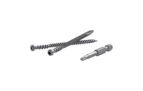 FastenMaster TrapEase No. 20 X 2-1/2 in. L Saddle Torx Ttap Star Head Composite Deck Screws 75 pk