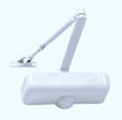 Tell Powder Coated Steel Hydraulic Door Closer Grade 3