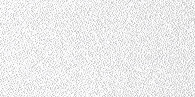 USG Sheetrock 4 ft. L X 2 ft. W 0.5 in. Square Edge Ceiling Panel 1 pk