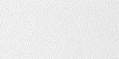 USG Sheetrock 4 ft. L X 2 ft. W 0.5 in. Square Edge Ceiling Panel 1 pk