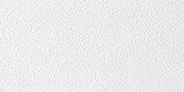 USG Sheetrock 4 ft. L X 2 ft. W 0.5 in. Square Edge Ceiling Panel 1 pk