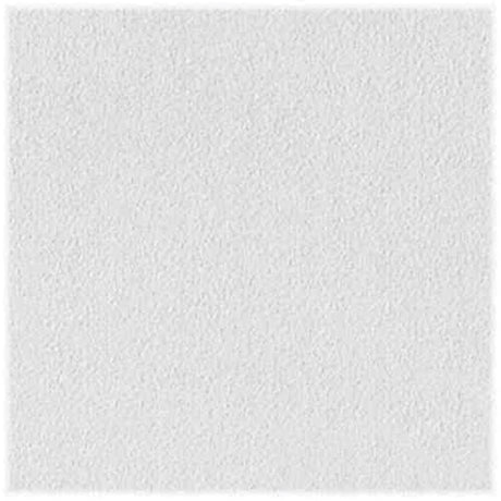 USG Sheetrock Brand Non-Directional 24 in. L X 24 in. W 0.5 in. Square Edge Ceiling Panel 1 pk