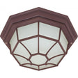 1 Light - 12 in. - Ceiling Spider Cage Fixture - Die Cast - Glass Lens - Color retail packaging