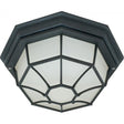 1 Light - 12 in. - Ceiling Spider Cage Fixture - Die Cast - Glass Lens - Color retail packaging