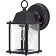 1 Light - 8-5/8 in. - Wall Lantern - Cube Lantern with Clear Beveled Glass - Color retail packaging