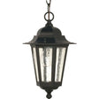 Cornerstone - 1 Light - 13 in. - Hanging Lantern with Clear Seed Glass - Color retail packaging