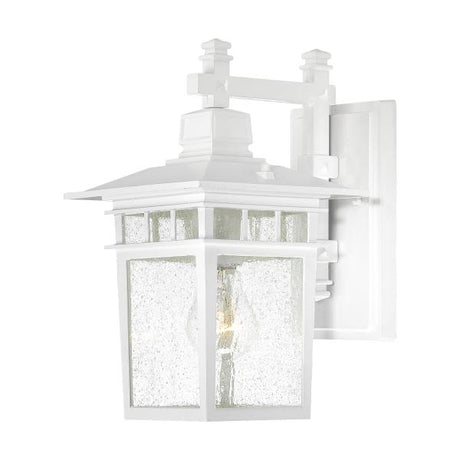 Cove Neck - 1 Light - 12 in. - Outdoor Lantern with Clear Seed Glass - Color retail packaging