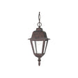 Briton - 1 Light - 10 in. - Hanging Lantern with Clear Glass