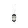 Adams - 1 Light - 16 in. - Outdoor Hanging with Frosted Glass