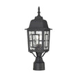 Banyan - 1 Light - 17 in. - Outdoor Post with Clear Water Glass