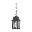 Banyan - 1 Light - 11 in. - Outdoor Hanging with Clear Water Glass