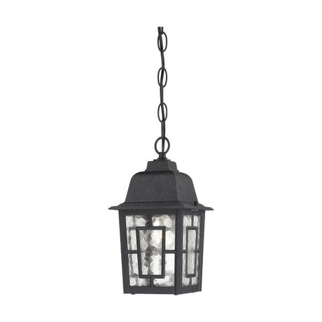 Banyan - 1 Light - 11 in. - Outdoor Hanging with Clear Water Glass