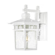 Cove Neck - 1 Light - 12 in. - Outdoor Lantern with Clear Seed Glass