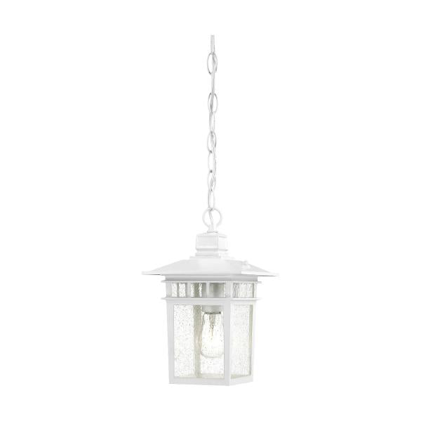 Cove Neck - 1 Light - 12 in. - Outdoor Hang with Clear Seed Glass